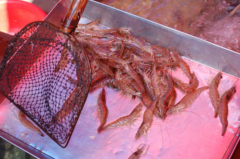 03-Bootsfahrt am Kaiserkanal_096.JPG